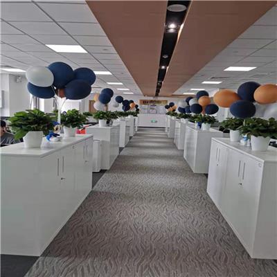 Flowers rental company in Tianjin | Tianjin landscaped office plants rental companies - special services