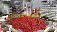 特级和田大枣新疆红枣厂家直供现货发售