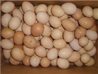 土鸡蛋，修水土鸡蛋，农家土鸡蛋