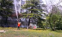 010-67405161 北京绿植病虫害防治中心与你共建绿色家园