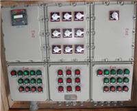 专业生产三防配电箱FXM D -10AL带漏电防水防尘防腐配电箱