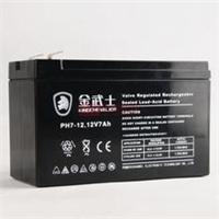 Jin Wushi battery 12v100ah agents Shandong latest price