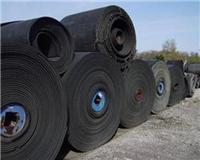Xining, Qinghai and for high temperature nylon conveyor belt conveyor