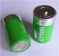 1 # D-Typ gro?e Batterien / Alkalibatterien