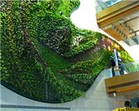 南京户外绿化产品wpc垂直绿化墙