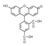 5-羧基荧光素淄博5-羧基荧光素生产
