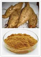 Pueraria lobata isoflavones puerarin