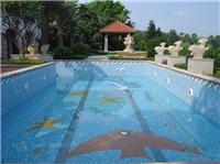 广西南宁、玉林地区游泳池设计和施工服务