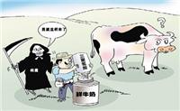 Hong Kong to Shenzhen US imports of milk powder