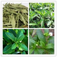 Stevia Extract