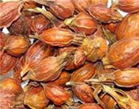 Gardenia extract geniposide