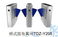 TDZ-Y228桥式斜角高档翼闸