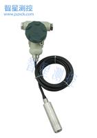 Explosion-proof submersible level transmitter manufacturers supply Jiangsu Zhi Xing