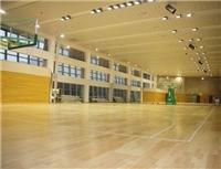 中国浙江篮球羽毛球枫木A级优质绿色环保运动地板