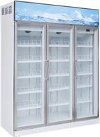 佰克斯冷柜冷柜，广东广西江苏上海北京展示柜价格，果蔬饮料展示柜