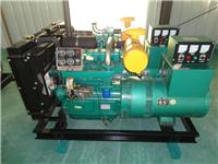 Weifang lush recommend a 50kw diesel generator set Yantai Longkou seaside ice plants and installation