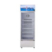 穗凌 LG4-273LW 立式无霜风冷展示冰柜冷藏保鲜陈列柜商用冷柜
