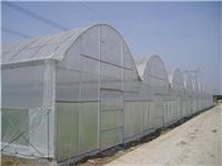 Which intelligent greenhouse find: Intelligent Greenhouse construction