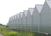 专业生产pc阳光板，温室大棚阳光板