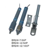 BR2W熔断器BR2W-10/100高压限流熔断器