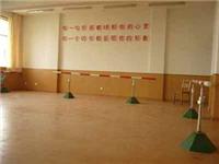 合肥LG塑胶地板舞蹈教室**塑胶地板施工价格