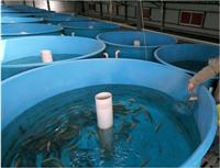 RAJ profesional equipos agrícolas de procesamiento de fibra de vidrio criadero de peces 2000 * 500 mm de fibra de vidrio fabricantes, al por mayor