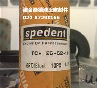 天津萨贝丹图TC+型油封招商代理