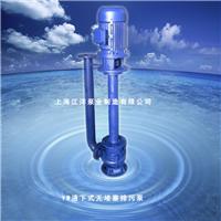 江洋泵业YW型液下式排污泵/30kw潜水式液下泵/杂质泵周到的售后