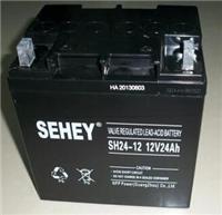 西力蓄电池SH24-12/SEHEY电池12V24AH