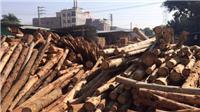 供应东莞木方 木料 包装材料 木材加工