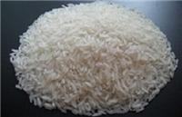 大米出口 出口大米 粮食贸易