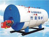 Leshan Zhugen boiler gas steam boiler