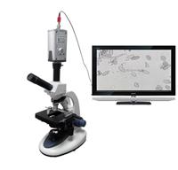 四川植物虫害检测设备，小放大镜放大100倍，便携式显微镜