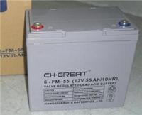 格瑞特蓄电池6-FM-55厂家授权12V55AH蓄电池