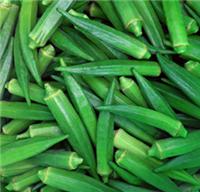 Okra fruit into the harvest of 700 acres of planting base to undertake various factory orders