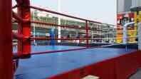 Henan boxing produce production, Henan, Jiangsu boxing boxing ring manufacturer