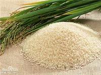 荆门物**所值的大米批发供应|荆门优质大米供应商