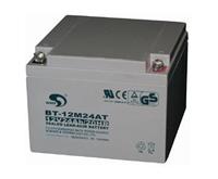 绍兴赛特UPS蓄电池报价 BT-12M24AT价格
