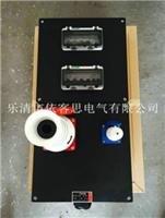 With socket waterproof and dustproof anti-corrosion maintenance box FXM-2 / K100 FXM-2 / K63 FXM-2 / K25