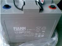 FIAMM蓄电池12SP200现货