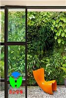 Vertical green walls vertical green technology