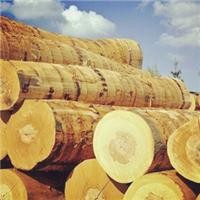 天津木材进口代理公司