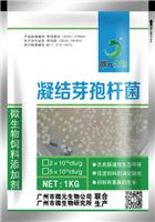上海枯草芽孢杆菌生产厂家枯草芽孢杆菌菌粉200亿500亿2000亿每克