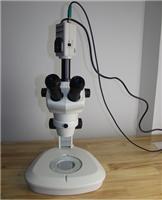 上海荼明光学仪器厂家直供研究型矿相显微镜TP-706