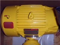 液压泵电机订货号109755-2美国VARCO**驱配件