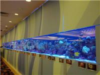 广州亚克力鱼缸，大型亚克力鱼缸定做，亚克力鱼缸造景设计，大型亚克力观赏鱼缸设计安装
