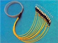 单模光纤尾纤 FC-12-SM光纤尾纤 厂家直销尾纤