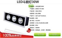 30W-LED斗胆灯厂家斗胆灯厂价发售
