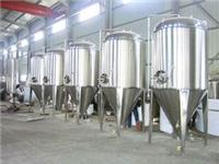 啤酒罐厂家 啤酒发酵罐  酿酒设备 啤酒设备
