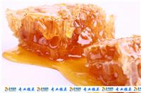 上海进口蜂蜜代理报检报关备案公司